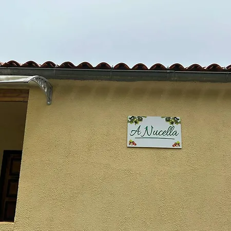 Convivial A Marignana, Proche De La Nature * Marignana