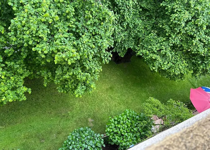 Convivial A Marignana, Proche De La Nature *