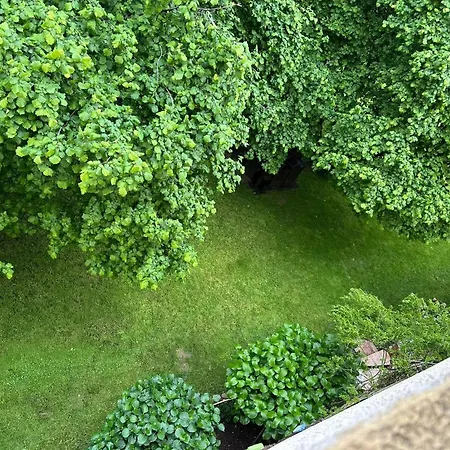 Convivial A Marignana, Proche De La Nature *