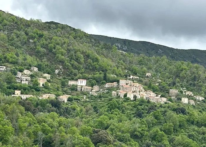 Convivial A Marignana, Proche De La Nature * Marignana